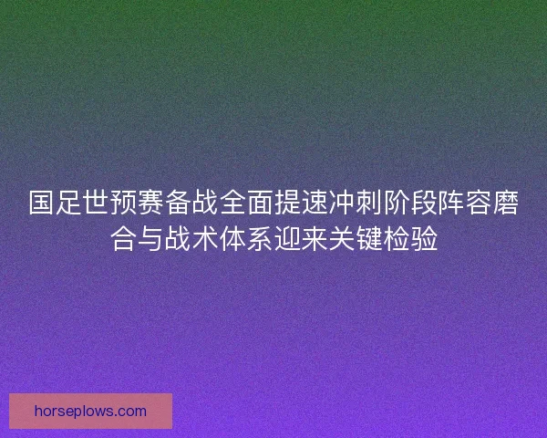 国足世预赛备战全面提速冲刺阶段阵容磨合与战术体系迎来关键检验