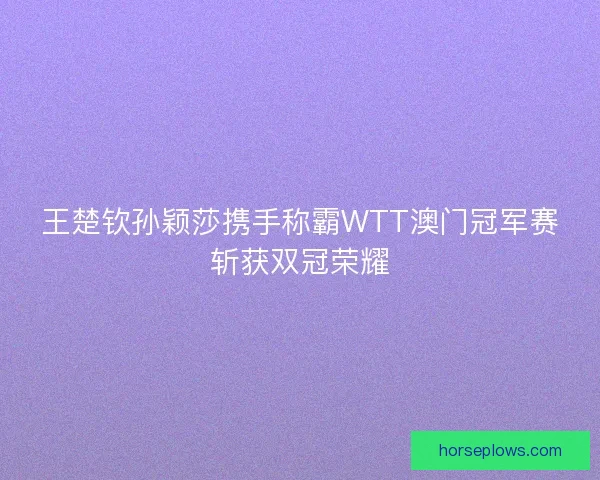 王楚钦孙颖莎携手称霸WTT澳门冠军赛斩获双冠荣耀